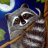 MoonRacoon