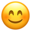 [IMG]