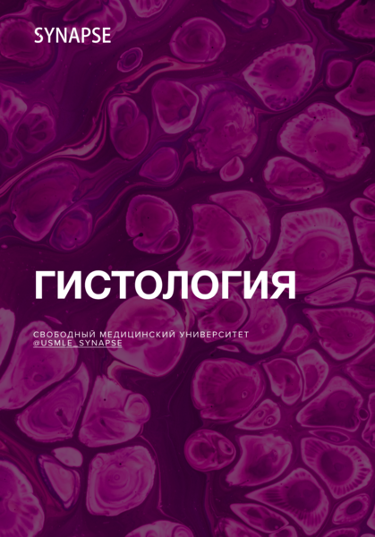 screenshot_2024-11-04_at_20-26-28-min-2-png.1091061